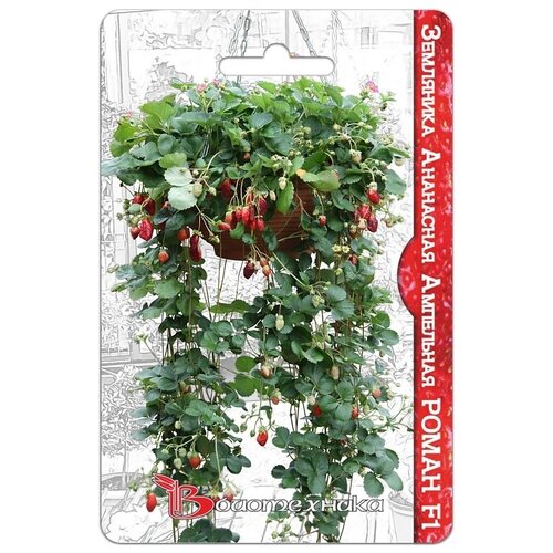 ������ ������ ���������� ��������� ��������� ��������� ����� F1 ����