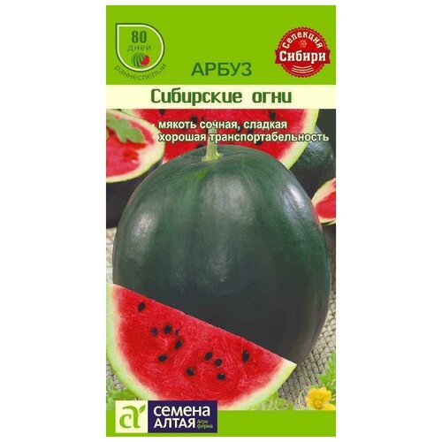 ������ ������ ������ 