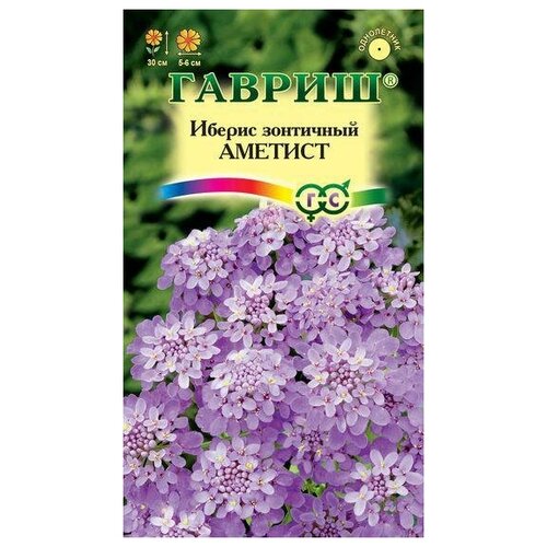 ������ ������ ������. ������ 