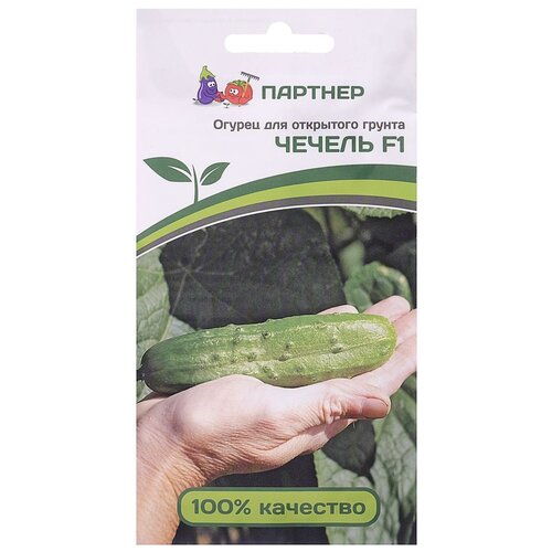 ������ ������ ������ ������ 