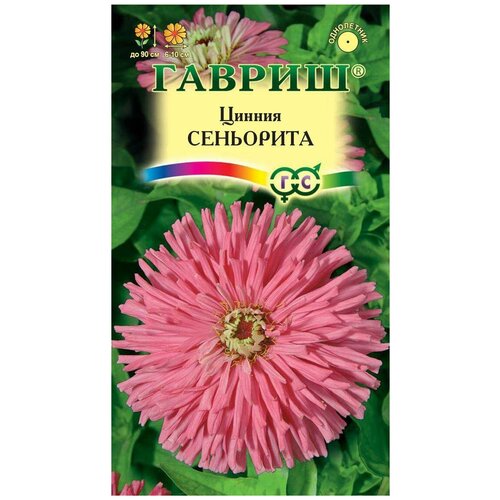 ������ ������ ������. ������ 