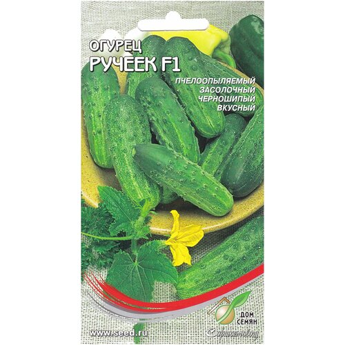 ������ ������ ������ ������ F1, 10 ����� ����