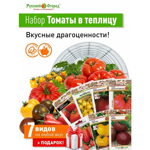 ������ ������ ����� ����� ������ � ������� ����