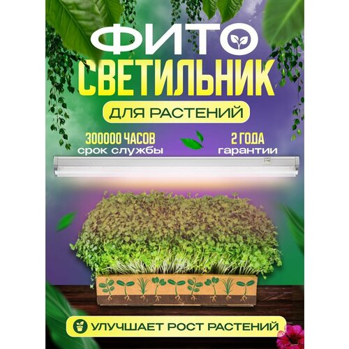 ������ ������ �������������� ��� �������� ����