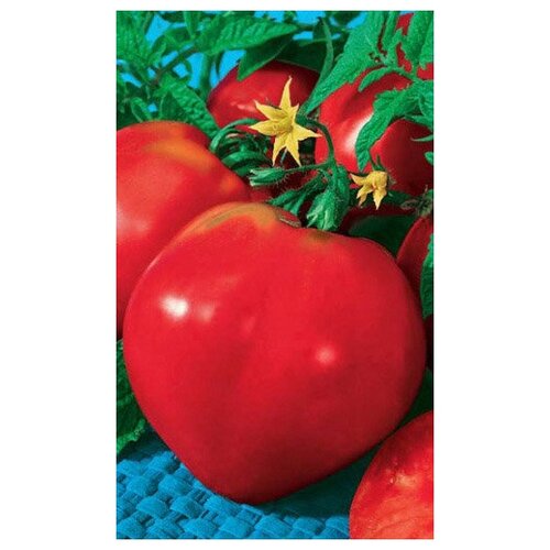 ������ ������ ����� ����� ������ ������������ ~ 20 ����� ����