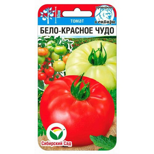 ������ ������ ����� ����-������� ���� ����