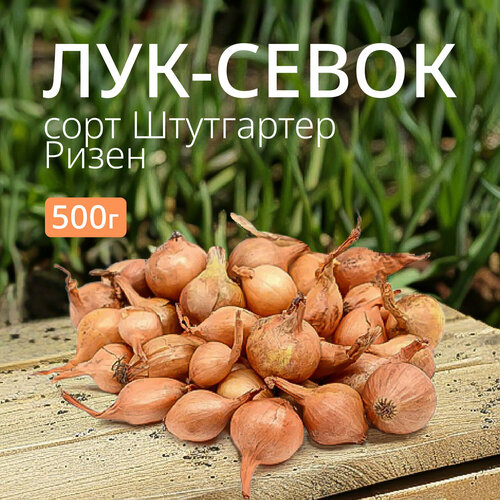 ������ ������ ��� ����� ���������� ����� 0,5 ��. ����