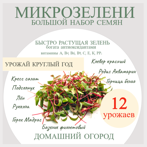 ������ ������ ����� ��� ����������� ����������� 12 ������� ����