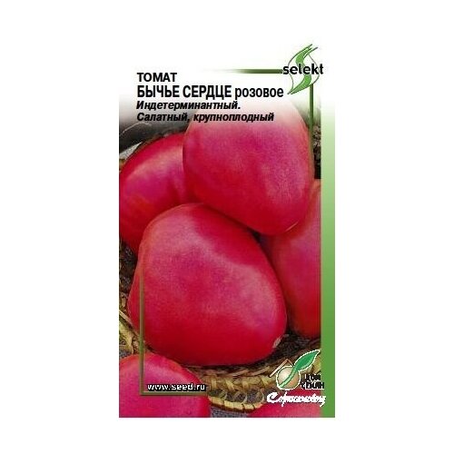 ������ ������ ����� ����� ������ �������, 20 ����� ����