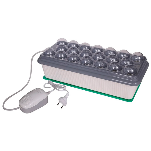 ������ ������ �������� ���� ����������� ��������� ����-������, 3.3 �, �����/����� ����