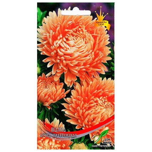 ������ ������ ����� ����������� �����, 90 ����� ����