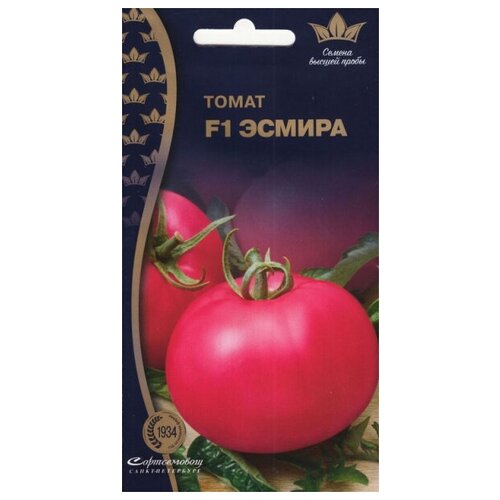 ������ ������ ����� ������ F1, 5 ����� ����