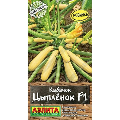 ������ ������ ������� ������� �������� F1 ����