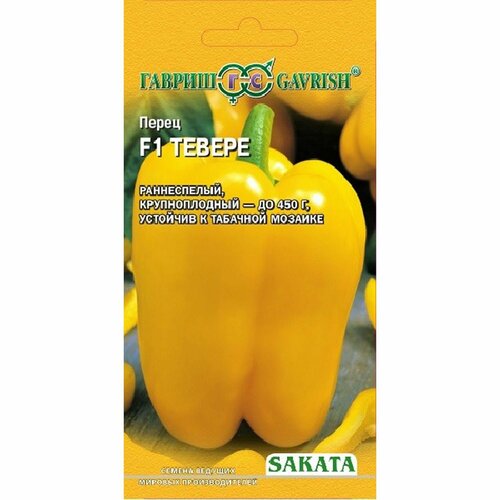 ������ ������ ������ ����� ��. ������ F1 (������) 5�� ����