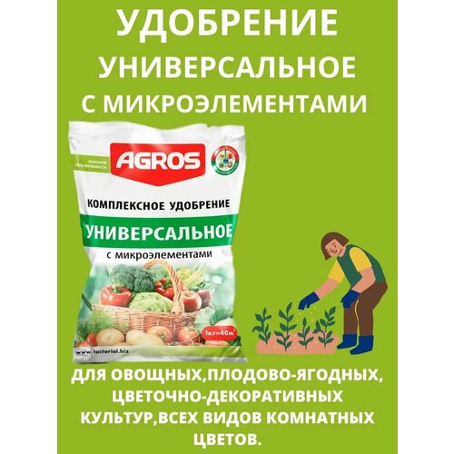 ������ ������ ������������� ����������� ��������� � ���������������, 1�� ����