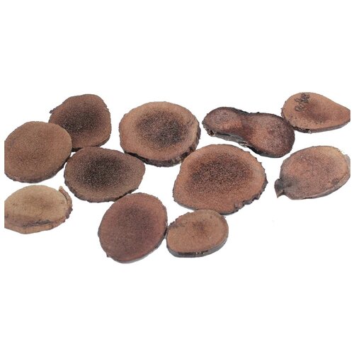 ������ ������ ������� ������� ��������� ������ ������ ������, 30 � ����