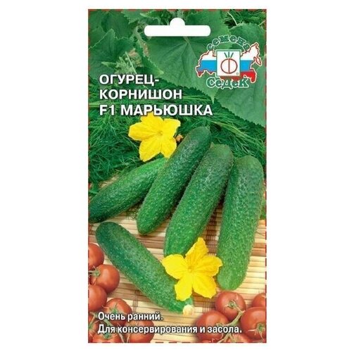 ������ ������ ������ ������� �������� F1 0,3 � ����