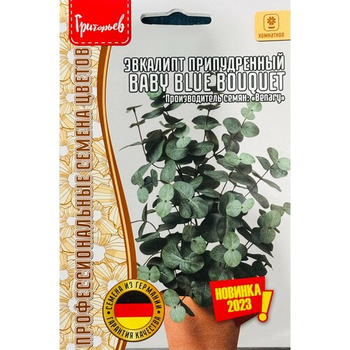 ������ ������ ������ ��������� ������������� 