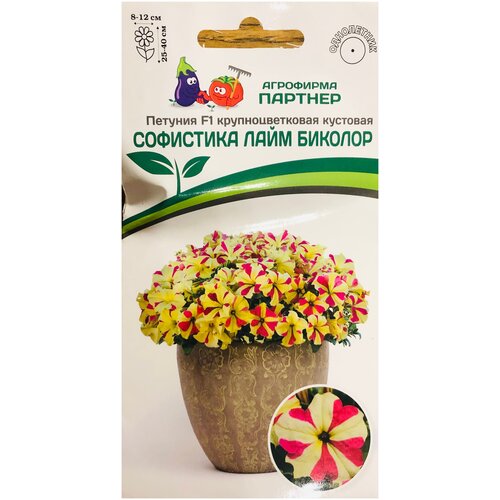 ������ ������ ������ ������� ��������������� �������� 