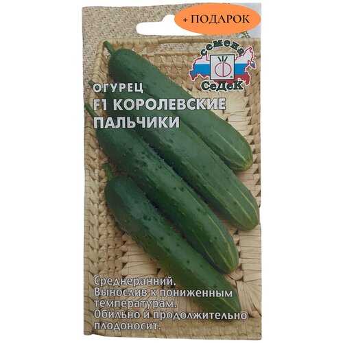 ������ ������ ������ ����������� �������� 0,2� ����