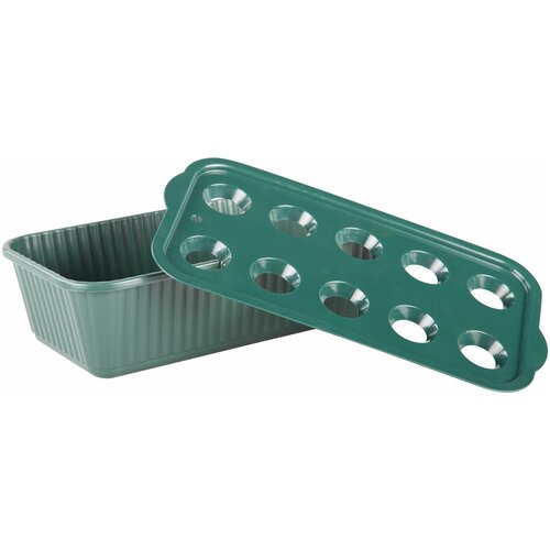 ������ ������ ���� ��� ����������� �������� ���� (10 �����) (�������) (1/20) 