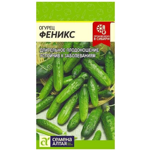 ������ ������ ������ 