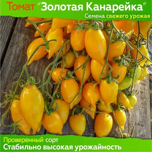 ������ ������ ��������� ������ ����� 