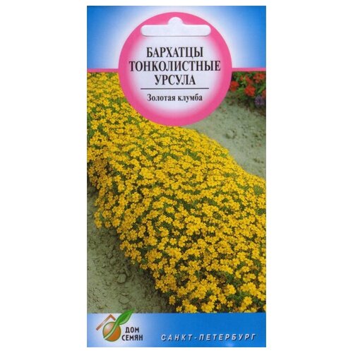 ������ ������ �������� (������� �����������) ������, 110 ����� ����