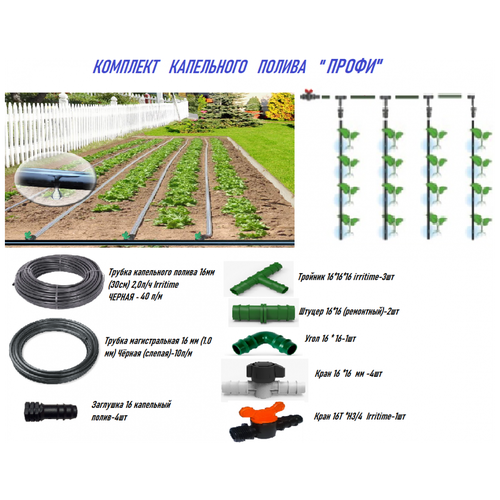 ������ ������ ��������� ����� 