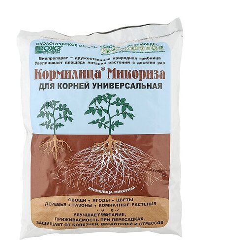 ������ ������ ��������� ��������� �������� 1 � (�/�) ����