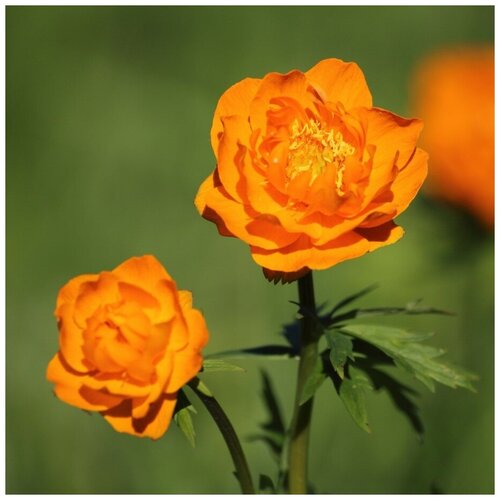 ������ ������ ������ ������ ���������� ��������� 30 ��. ����