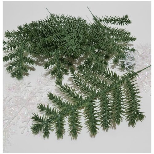 ������ ������ ����� ������. ����