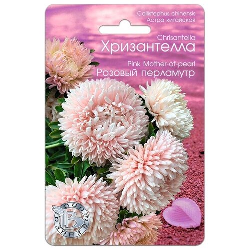 ������ ������ ������ ����� ��������� ����������� ������� ��������� (30 �����) ����