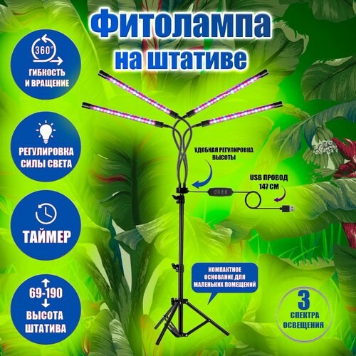 ������ ������ ��������� ��� �������� � ������� �� ������� ������� ������� 4 �����/ ��� ��������� ������� � ��������� ����