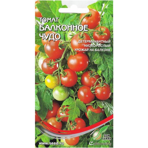 ������ ������ ����� ��������� ����, 30 ����� ����