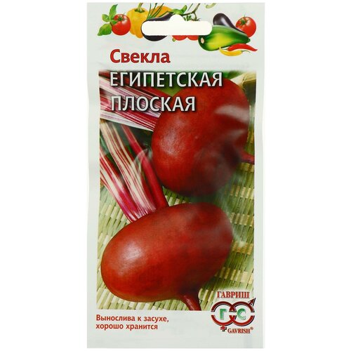 ������ ������ ������ ���������� �������, ������ ������ ( 1 ��: 3 � ) ����