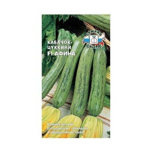 ������ ������ ������ �������� ����� ������ ����� F1 1 � ����