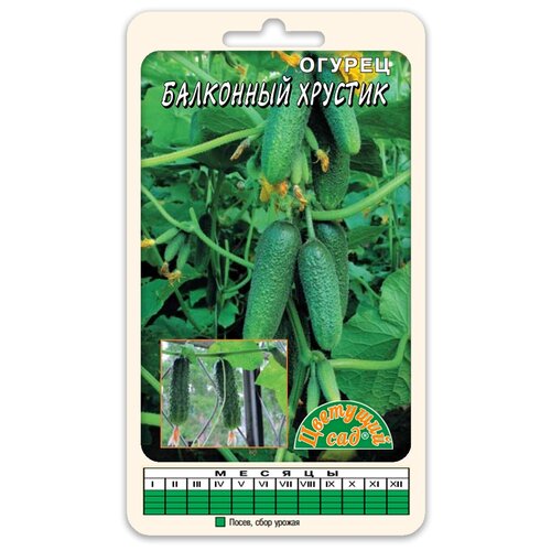 ������ ������ ������ �������� ��� 