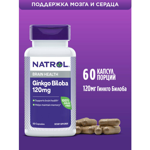 ������ ������ Ginkgo Biloba ����., 120 ��, 70 �, 60 ��., 1 ��. ����