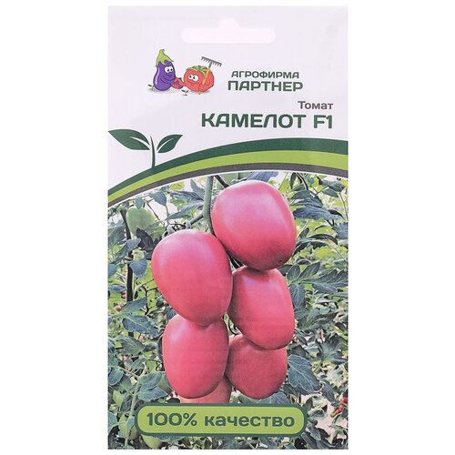 ������ ������ ������ ����� 