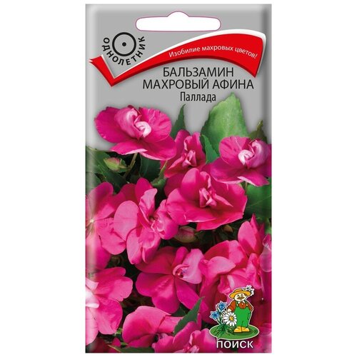 ������ ������ ������ ��������� �������� ����� ������� ���������� 5 ��. ����