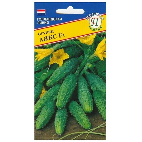 ������ ������ ������ ������ 