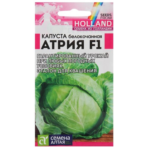 ������ ������ ������ ������ ����� ������� �����, F1, 12 ��. ����