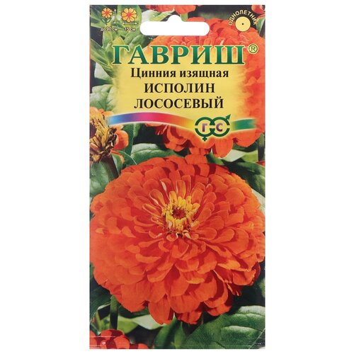 ������ ������ ������ ������ ������ 