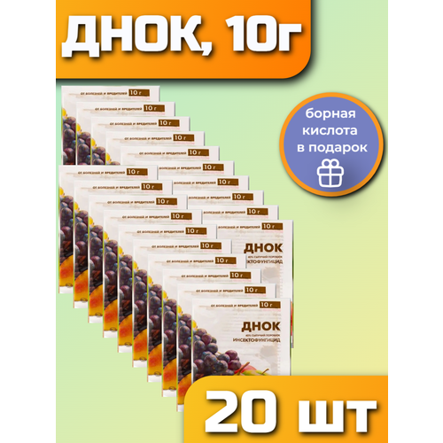 ������ ������ ���� 10 � �������� ��� ���� �������� ��������. ���������������. 20 ����� ����