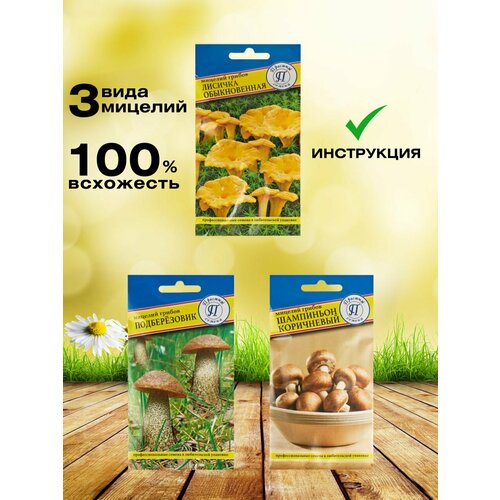 ������ ������ ����� ��� ����������� ������, ������ ������, �������, �������� ��������, ��� ��� ���� � ���� ����