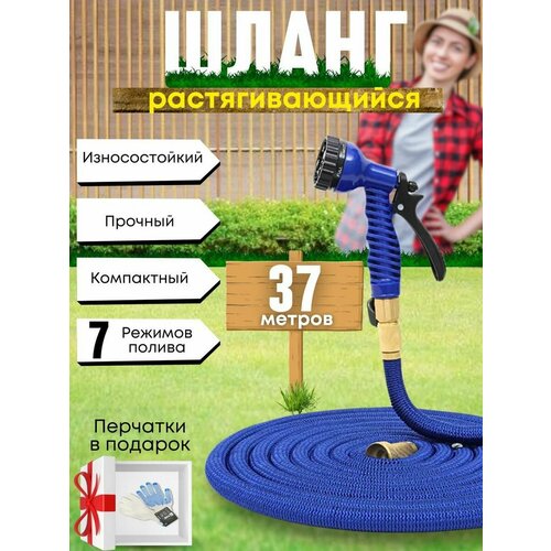 ������ ������ ����� ������� ���������� ��������������� 37 ������ ����