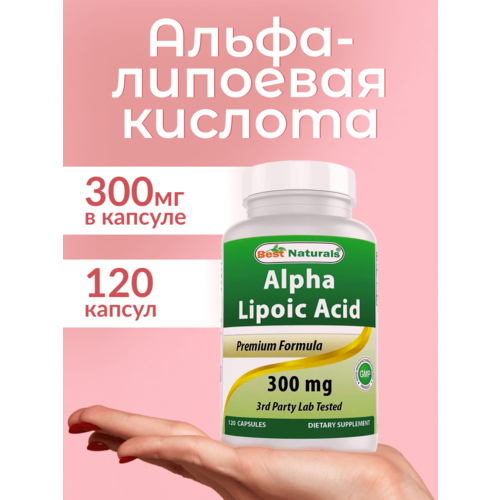 ������ ������ ����� �������� �������, 300 ��, 120 ������ ����