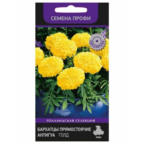 ������ ������ �������� ������������ ������� ���� (������ �����) ����