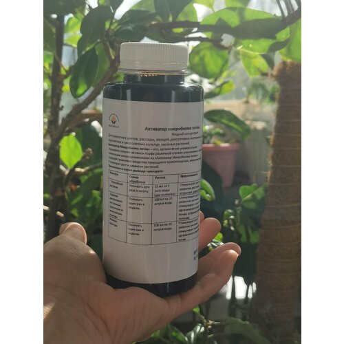 ������ ������ ��������� ���������� ����� ����